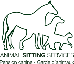 Animal Sitting Services